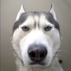 Meet your Posher, Branden